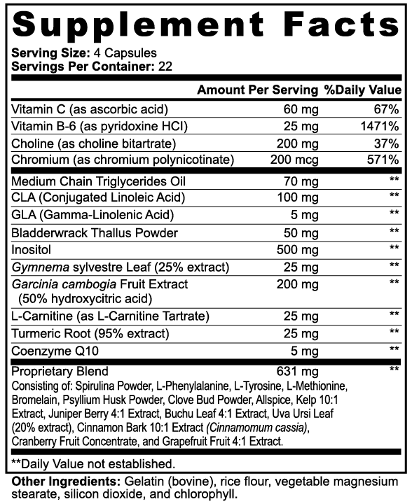 PURE LIFE Fat Burner with MCT - 90 capsules - Specialty Supplements - PURE LIFE