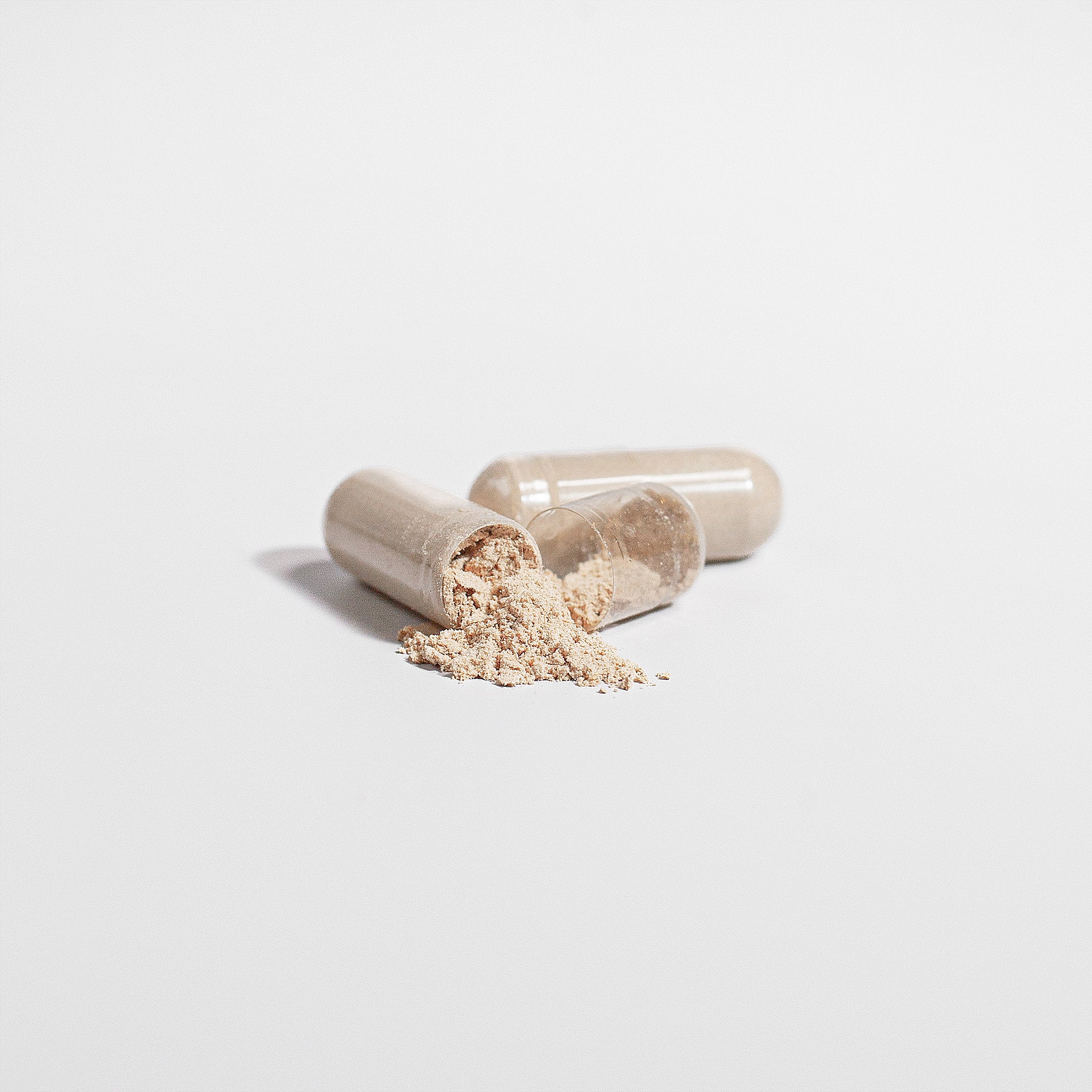 PURE LIFE Chaga Mushroom 1000mg - 60 Capsules